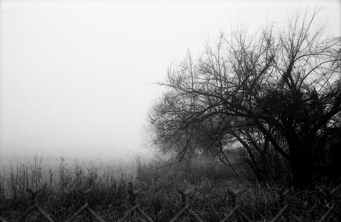 Mysteries in the Mist (Canonet QL-17 w/ Ilford HP5+)
