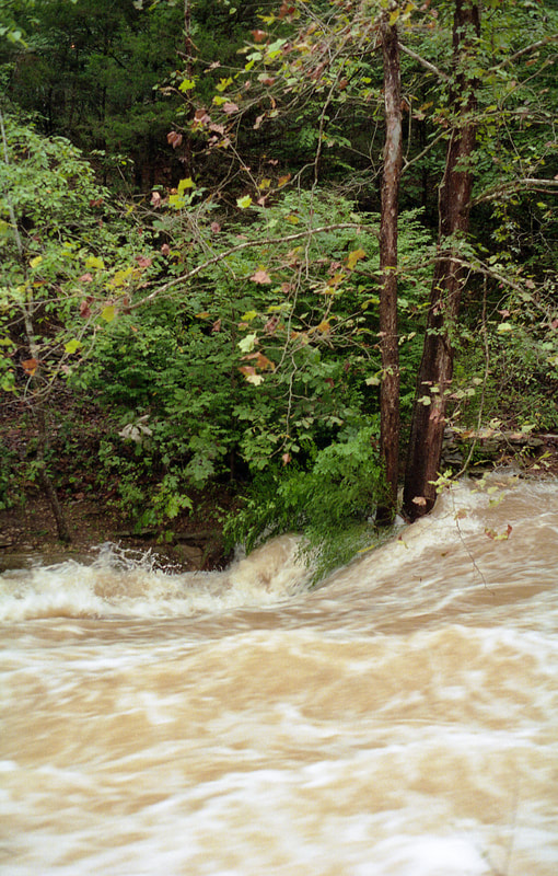 Tanyard Creek became a roaring river after torrential rainfall. (Portra 800 w/ Minolta X-700 and 35-70mm f/3.5 Macro lens.)