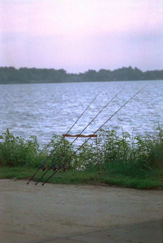 Fishing poles on Cinestill 50D